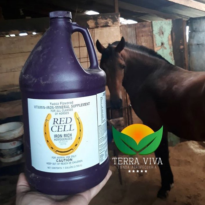 red blood cell supplement for Horses